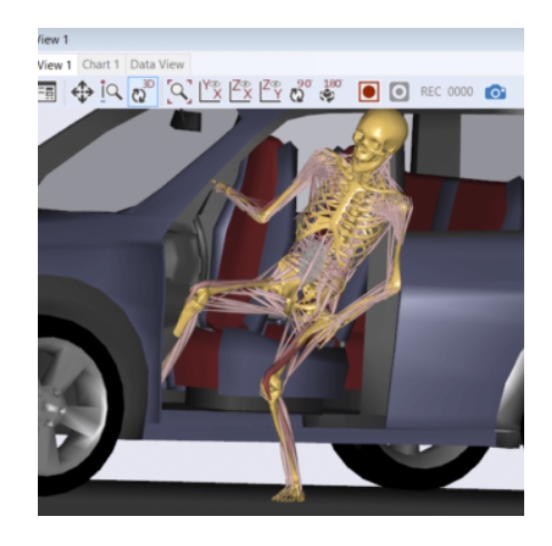 The AnyBody ModelingSystem