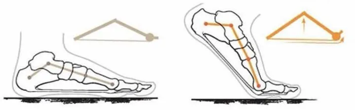 Gait Analysis | The Secret of Walking, Why Everyone Needs to Know