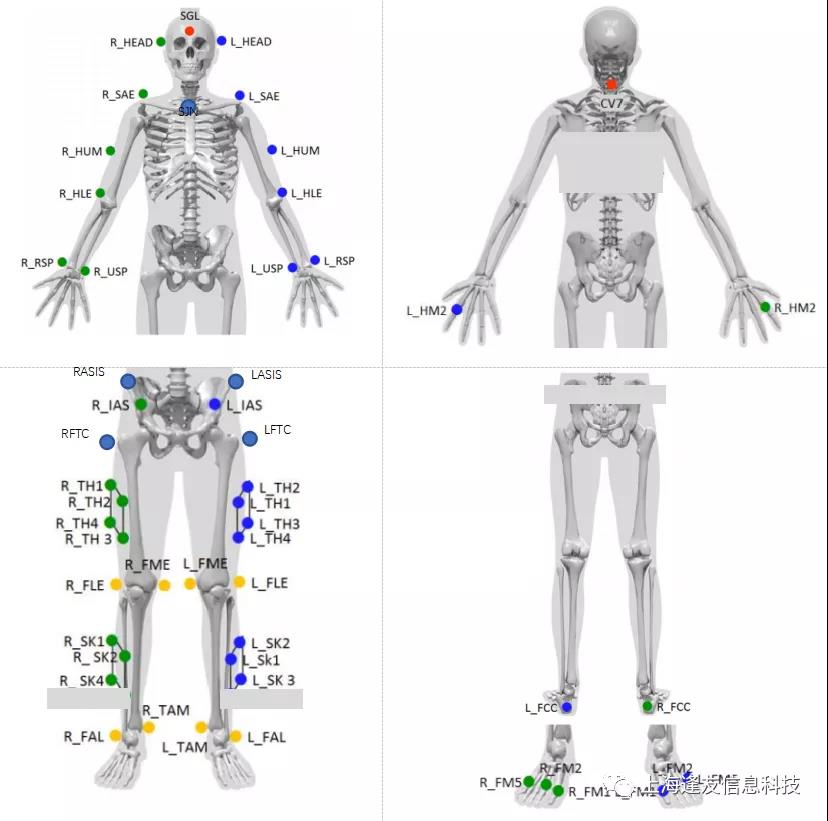 标记点位置示意图