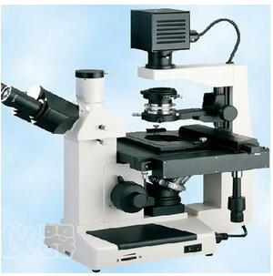三目倒置生物显微镜37XB