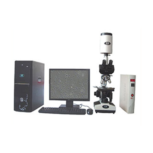 全自动精子分析仪SJ-TMDI810