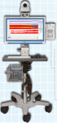 内特斯脑功能监护仪